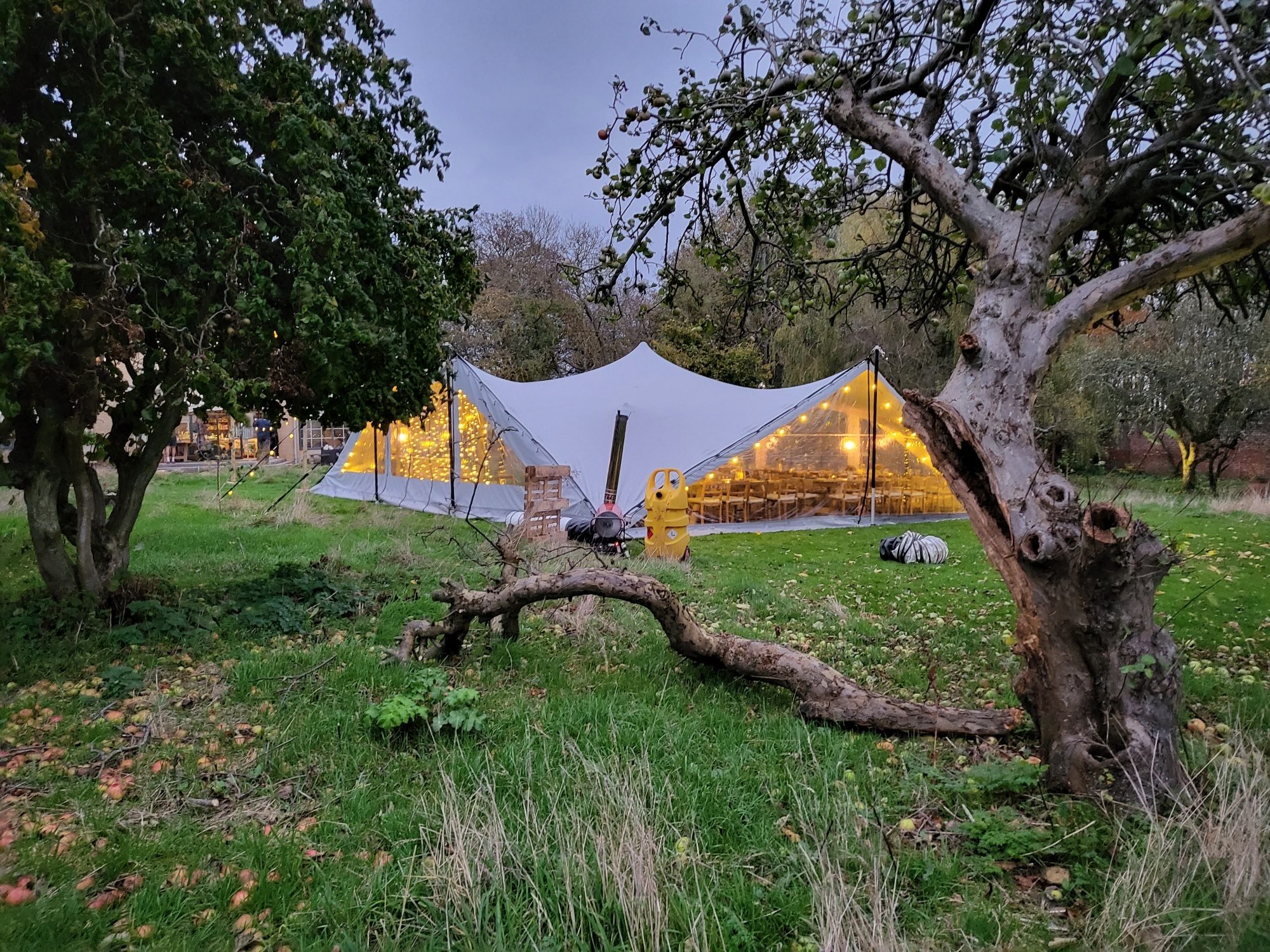 Tent in the walled garden at Madeira in fife